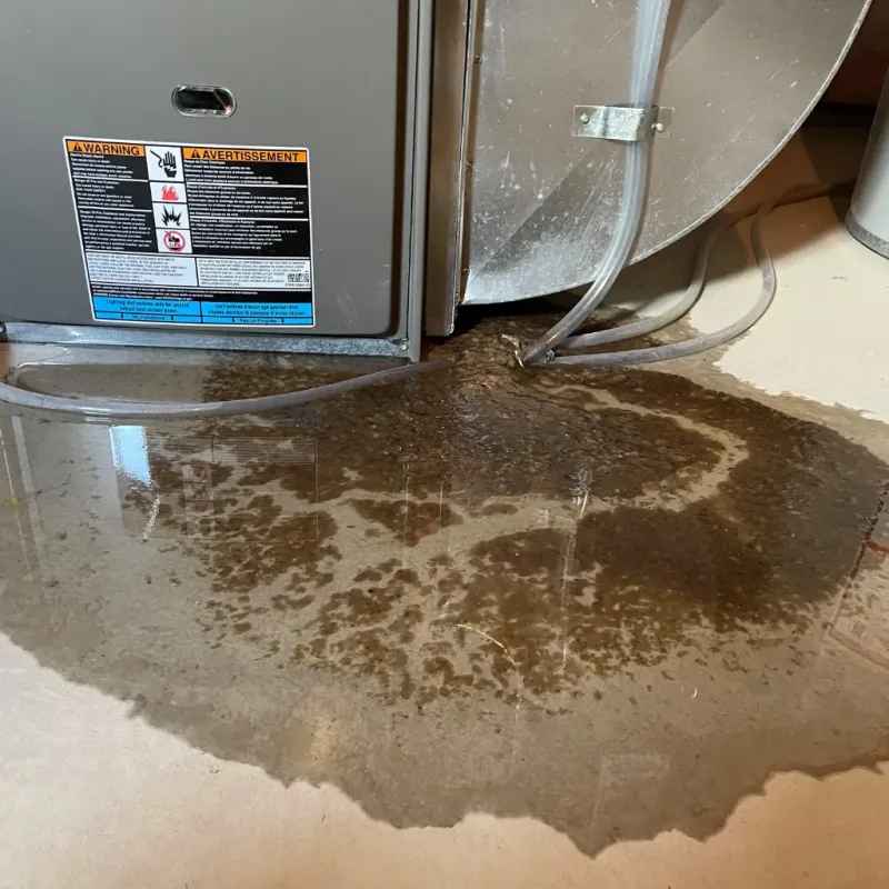 Appliance Leak Cleanup in Lake Winnebago, MO