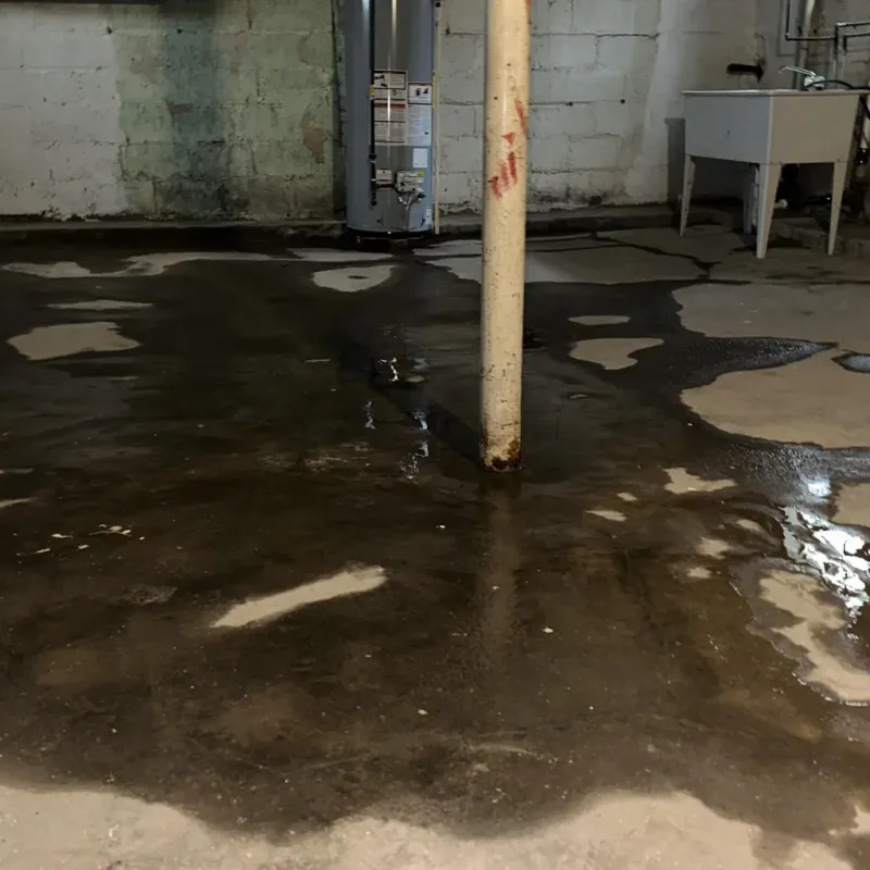 Emergency Water Extraction And Removal in Lake Winnebago, MO